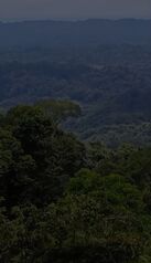 PARA INVERSIONISTAS, FINCA EN QUEPOS, COSTA RICA.  in Quepos, Puntarenas — $2,000,000 - Photo 4 of 13
