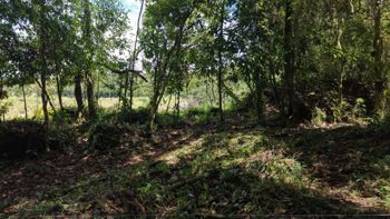VENTA DE LOTE RESIDENCIAL DE 2.000 M2 FRENTE AL RIO PEÑAS BLANCAS EN SANTA ELENA, PEREZ ZELEDON en San Isidro De El General, Pérez Zeledón, San José — 15 000 000 ₡ - Foto 4 de 27
