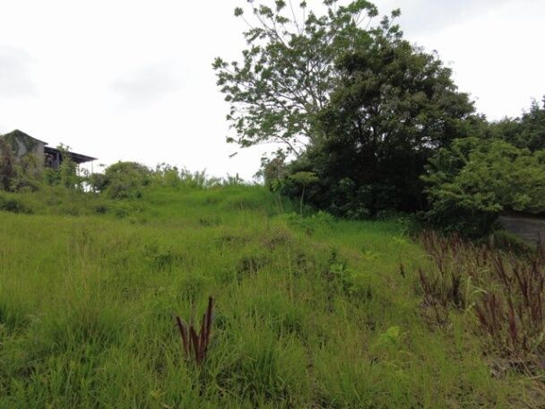 MLS-26-1136 VENTA LOTE SAN FRANCISCO HEREDIA  en San Francisco, Heredia — ₡ 65 000 000