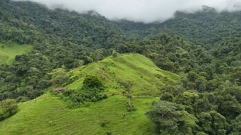 BEAUTIFUL LAND FOR SALE: 30 HECTARES IN BARÚ, PÉREZ ZELEDÓN WITH WATERFALL in Barú, Pérez Zeledón, San José — $250,000 - Photo 5 of 22