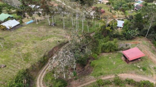 🏡 Propiedad con casas y cabaña en Tuis de Turrialba, 7.636 m² – USD 390K en Tuis, Turrialba, Cartago — $390,000