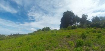 Lote con vista panoramica, Concepcion de San Rafael, 2,995 mtrs2 en Concepción, San Rafael, Heredia — 95 000 000 ₡ - Foto 4 de 8
