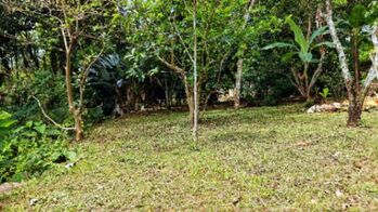 VENTA DE LOTE DE 4.321 M2 EN BARRIO SAN RAFAEL, PEREZ ZELEDON: POTENCIAL RESIDENCIAL in San Isidro De El General, Pérez Zeledón, San José — $170,000 - Photo 5 of 29