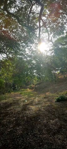 Hermosa Quinta Junto al Río en San Ramón, Alajuela — ₡ 55 000 000 - Foto 3 de 22