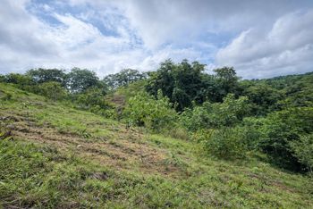 Lote Residencial de 5,000 m² en San Isidro in San Isidro, Montes De Oro, Puntarenas — $165,000 - Photo 2 of 4