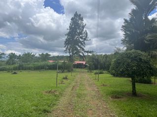 Best Farm in San Isidro Del General-River Front in San Isidro De El General, Pérez Zeledón, San José — $645,000 - Photo 4 of 45