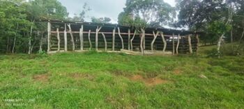 SE VENDE ESPECTACULAR FINCA EN COTO BRUS, PUNTARENAS.  in Limoncito, Coto Brus, Puntarenas — 4 000 000 ₡ - Photo 4 of 20