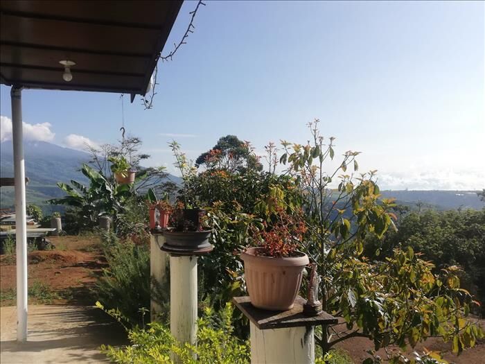 Finca con cabaña in Tucurrique, Jiménez, Cartago — ₡ 50 000 000