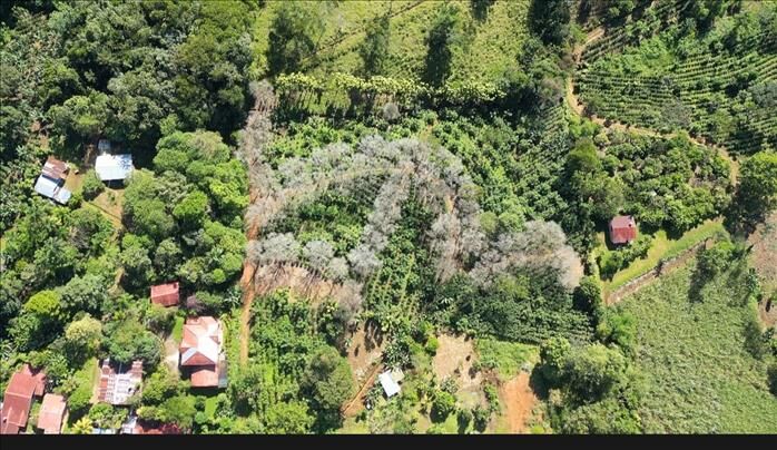 Venta lote 12.073 mts2 Santa Elena del General en Cajón, Pérez Zeledón, San José — $155,000