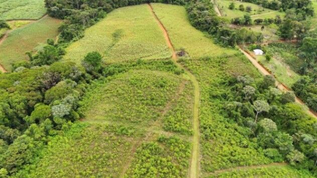 LOTES EN VENTA/ LOTS FOR SALE IN QUIZARRA in Cajón, Pérez Zeledón, San José — $70,000