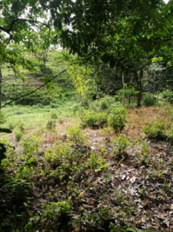 Se vende Lote en Zona Montañosa de Quepos en Naranjito, Quepos, Puntarenas — ₡ 280 000 000