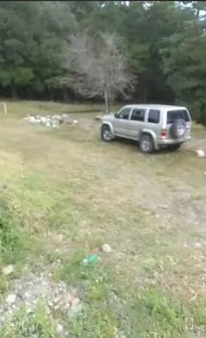 SE VENDEN 3 BELLÍSIMAS PROPIEDADES EN GUÁPILES.  in Jiménez, Pococí, Limón — ₡ 11 000 000