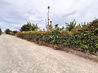 Venta de LOTE disponible para DESARROLLADORES en Santo Domingo-Santo Tomás. RAH 27-776 en Santo Domingo, Santa Bárbara, Heredia — $850,000 - Foto 4 de 11