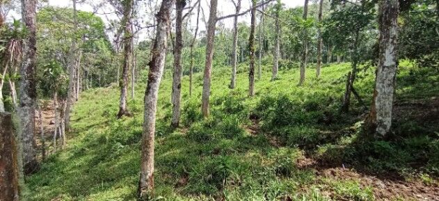 SE VENDE ESPECTACULAR FINCA EN PÉREZ ZELEDÓN.  en San Pedro, Pérez Zeledón, San José — ₡ 225 000 000
