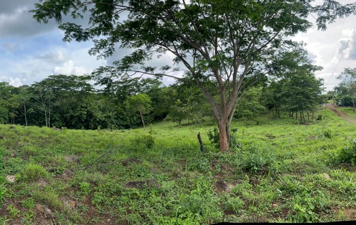 VENTA DE PROPIEDAD TARCOLES - PUNTARENAS in Tárcoles, Garabito, Puntarenas — ₡ 47 250 000