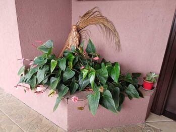 Se vende espaciosa casa con jardín en San Rafael de Escazú 23-516 en San Rafael, Escazú, San José — $390,000 - Foto 4 de 22