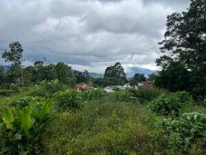 ¿Sueñas con construir la casa de tus sueños en un entorno tranquilo y rodeado de naturaleza? OFC /AD en San Ramón, La Unión, Cartago — $240,000