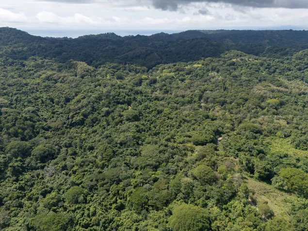 Finca de 58.6 Hectáreas con Vista al Mar y Potencial de Desarrollo en Cóbano, Puntarenas — $3,500,000 - Foto 2 de 13