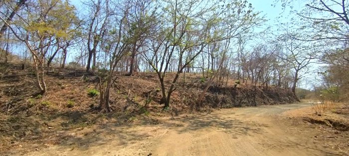 Private Mountain View Lot with Native Trees at Marbella en Cuajiniquil, Santa Cruz, Guanacaste — $140,000 - Foto 3 de 10
