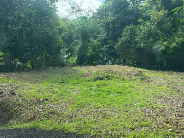 SE VENDE COMPLEJO TURISTICO CON CABINAS Y ALTO POTENCIAL DE INVERSION in Barú, Pérez Zeledón, San José — $295,000