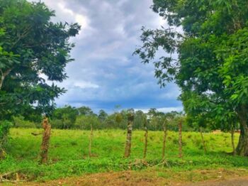 Terreno de 31000 m2 en el Molino de Florencia, todos los servicios en Florencia, San Carlos, Alajuela — 50 000 000 ₡ - Foto 4 de 7