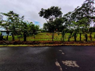 🌿 LOTE DE 2.209 m² EN VENTA | MUELLE DE LA PALMERA, SAN CARLOS en La Palmera, San Carlos, Alajuela — 40 000 000 ₡ - Foto 2 de 13