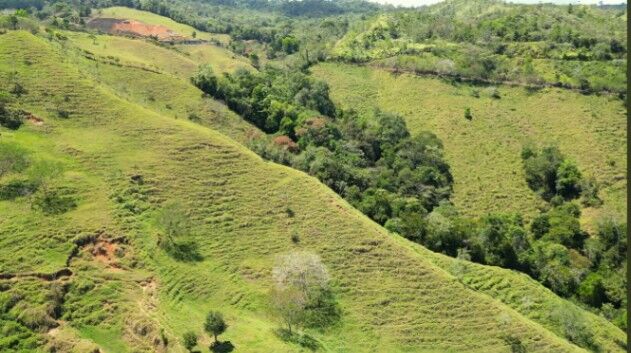 Beautiful Land for sale in the heart of Guaria, with views and creek (7 hectares / 17 acres) en San Isidro De El General, Pérez Zeledón, San José — $380,000