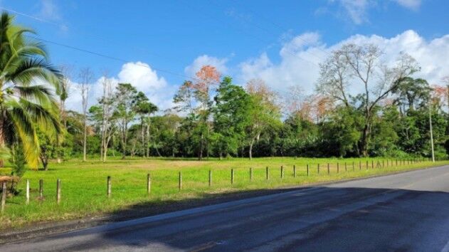 MLS-25-1361 KQ VENTA LOTE MATAMA LIMON in Matama, Limón — $2,000,000