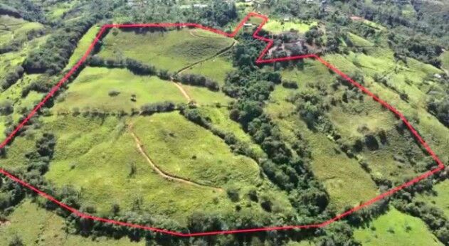  LAND FOR SALE IN SAN IGNACIO, WITH VIEWS AND CREEK  in Cajón, Pérez Zeledón, San José — $425,000