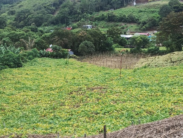 Venta de terreno..para quinta y agricultura in Santiago, Paraíso, Cartago — ₡ 95 000 000 - Photo 2 of 18