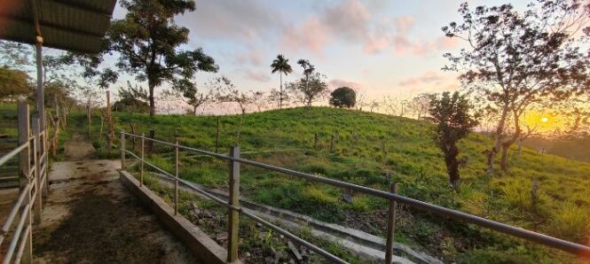 FINCA GANADERA EN GUATUSO-KATIRA  en Katira, Guatuso, Alajuela — ₡ 275 000 000