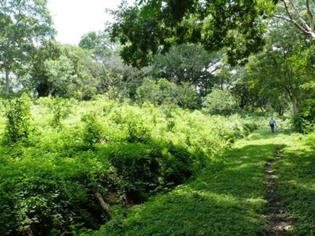 Finca de 6.3 Hec. 20 min. de aeropuerto in Atenas, Alajuela — $479,000