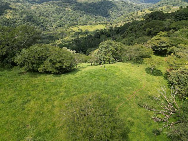 Preciosa Finca en Carrera Buena de San Ramón in Zapotal, San Ramón, Alajuela — ₡ 200 000 000 - Photo 2 of 24