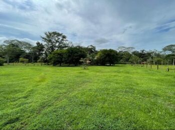 BELLÍSIMA QUINTA MUY CERCANA A LA FORTUNA.  en Peñas Blancas, San Ramón, Alajuela — 85 000 000 ₡ - Foto 5 de 7