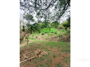Venta de Lote de Desarrollo en Bosque Mora in Colón, Mora, San José — $350,500 - Photo 5 of 12