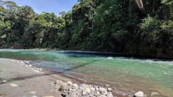 🌴 ¡OPORTUNIDAD DE INVERSIÓN EN TURRUBARES – ¡SAN JOSÉ, COSTA RICA!  en Carara, Turrubares, San José — 65 000 000 ₡ - Foto 4 de 13