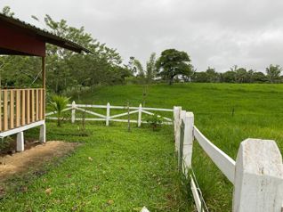 finca en sarapiqui in La Virgen, Sarapiquí, Heredia — 155 000 000 ₡ - Photo 2 of 11