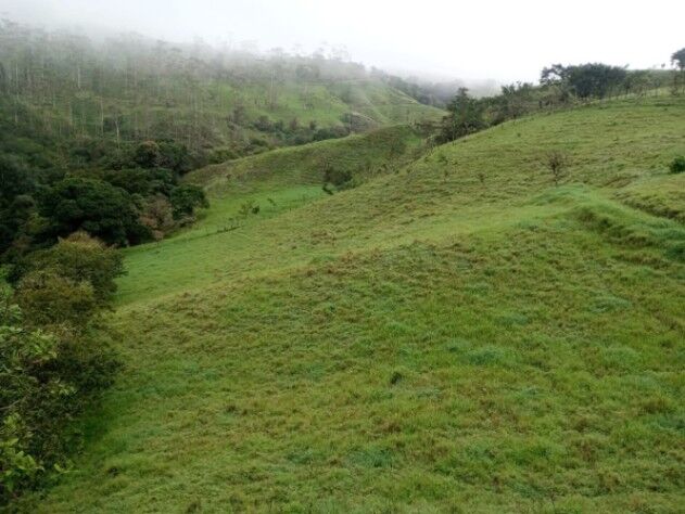 SE VENDE BELLA FINCA EN NARANJO DE ALAJUELA.  en San Miguel, Naranjo, Alajuela — ₡ 150 000 000