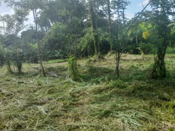 Lindo terreno para construir  en Guácimo, Limón — ₡ 48 000 000
