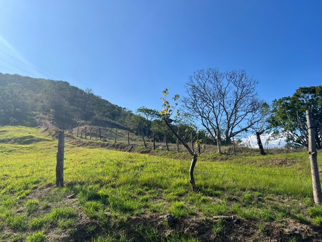 Se vende Terreno en Jaboncillos Escazú 1.1hta in Escazú, San José — $764,625