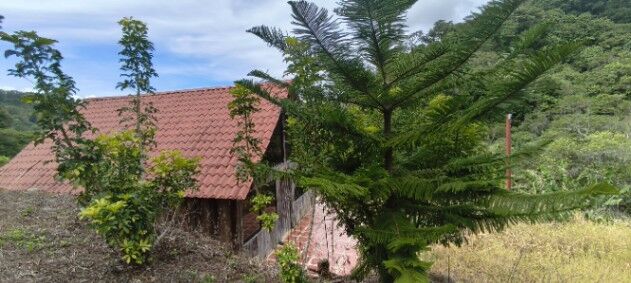 Terreno de montaña 5000 m²  Vistas Panorámicas, Jericó Desamparados en San Miguel, Desamparados, San José — ₡ 85 000 000