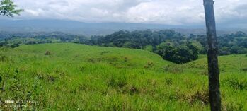 Gran oportunidad de inversión en finca ganadera y ecoturística en Coto Brus, Puntarenas, Costa Rica. in Limoncito, Coto Brus, Puntarenas — 1 468 000 000 ₡ - Photo 4 of 36