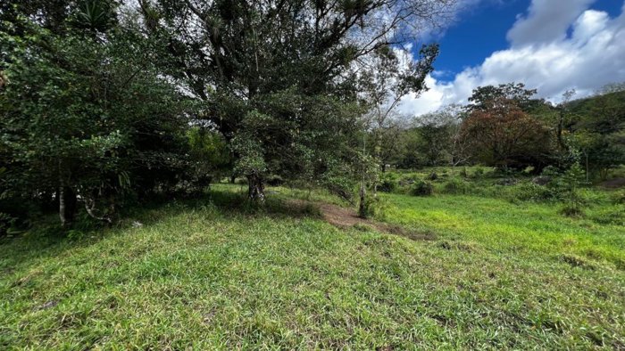 VENTA DE FINCA DE 10.9 HA FRENTE AL RIO EN VALLE DEL CHIRRIPO, SAN FRANCISCO DE RIVAS in Rivas, Pérez Zeledón, San José — $1,450,000