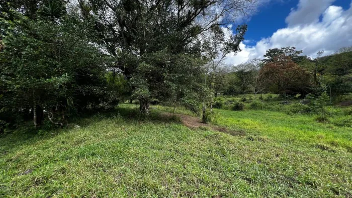 VENTA DE FINCA DE 10.9 HA FRENTE AL RIO EN VALLE DEL CHIRRIPO, SAN FRANCISCO DE RIVAS in Rivas, Pérez Zeledón, San José — $1,450,000 - Photo 2 of 7