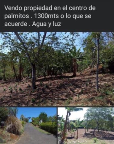 Lote en Venta Palmitos, Naranjo, Alajuela