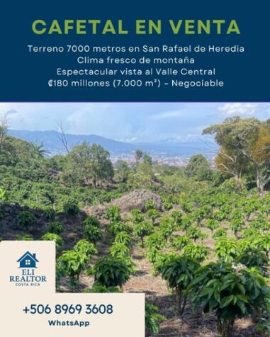 Cafetal en venta San Rafael de Heredia en San Rafael, Heredia — ₡ 180 000