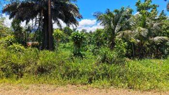 EN VENTA - TERRENO LISTO PARA CONSTRUIR CON POTENCIAL RESIDENCIAL Y COMERCIAL en Cajón, Pérez Zeledón, San José — 5 000 000 ₡ - Foto 4 de 6