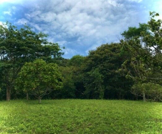 Venta de hermoso terreno en Ciudad Colón. RAH 26-1024 en Colón, Mora, San José — $440,000