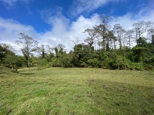 🌿 [Venta] Lote de 5.000 m² en Cascajal de Coronado