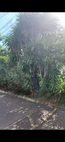 SE VENDEN 2 BELLOS LOTES EN SAN RAFAEL DE DESAMPARADOS.  en San Rafael Arriba, Desamparados, San José — ₡ 55 000